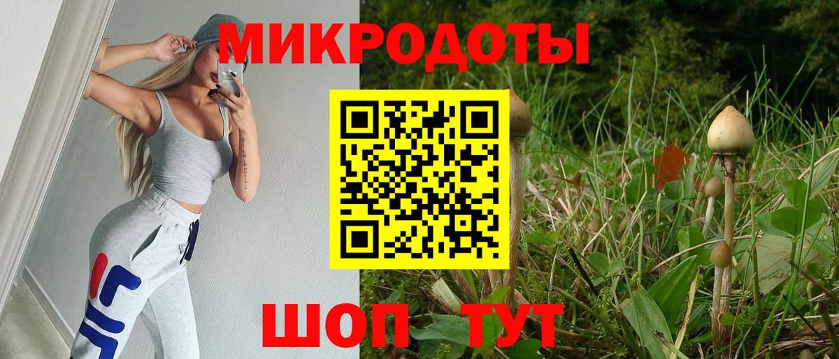 Галлюциногенные грибы Cubensis Электросталь